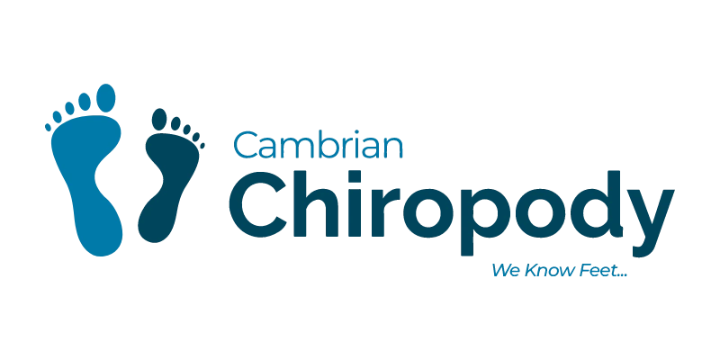 Cambrian Chiro